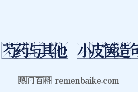 芍药与其他·小皮箧造句是什么意思的图片